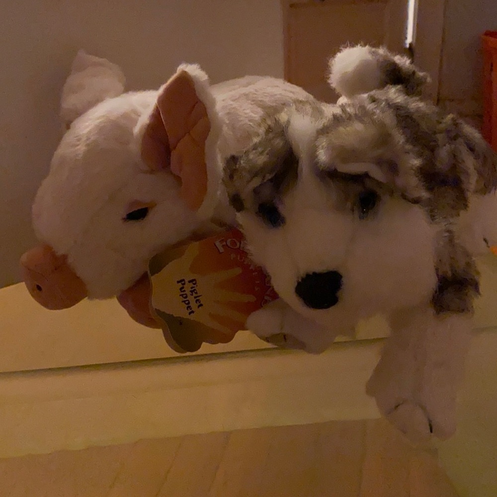 Folkmanis Puppets Pig and Wolf